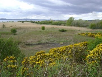 Forth Replacement Crossing Ground Investigations
